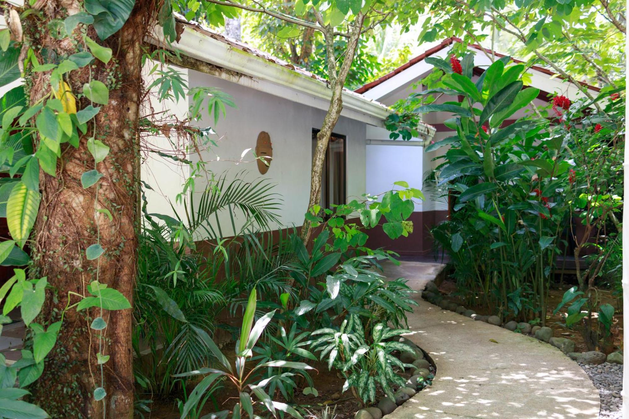 Bambutel Cocles Hotel Puerto Viejo de Talamanca Buitenkant foto