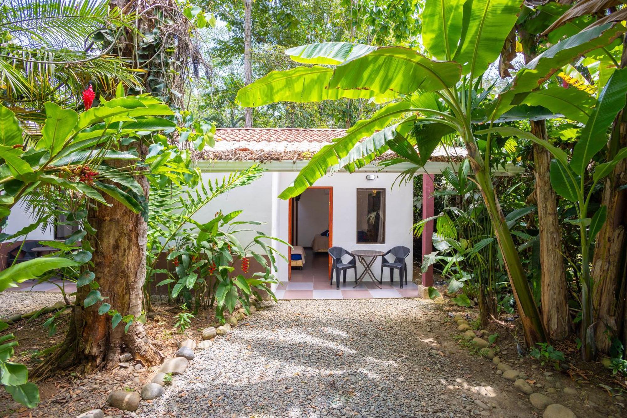 Bambutel Cocles Hotel Puerto Viejo de Talamanca Buitenkant foto